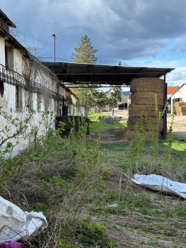 Zanedbaný pozemok pred čistením