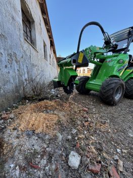 Frézovanie pňov na zanedbanom pozemku